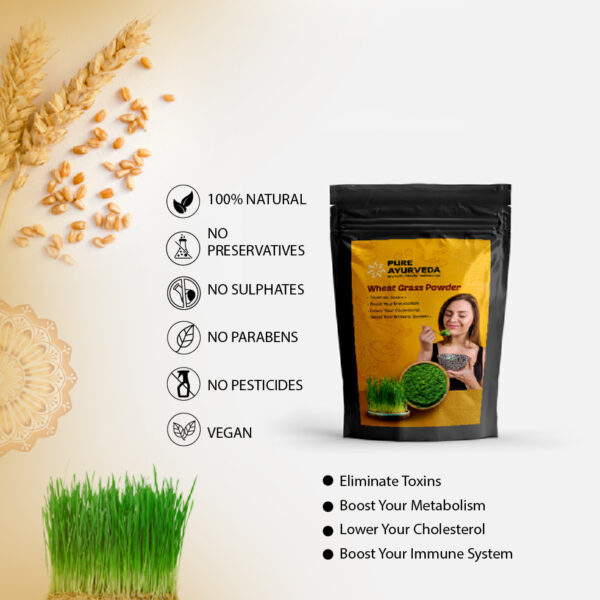 Wheat Grass Powder 100g